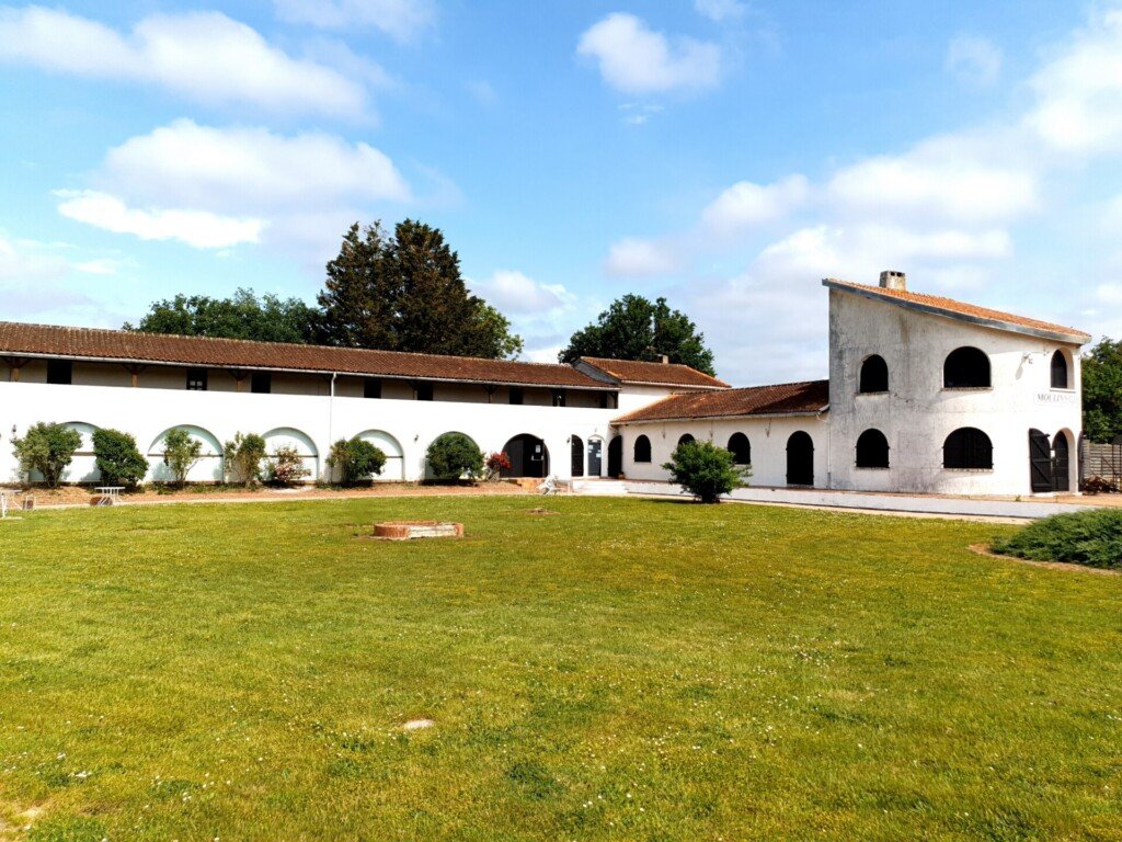 Le Moulin’s Club 3